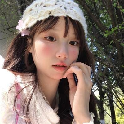 棕榈树森林