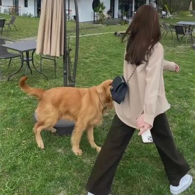 血色童心